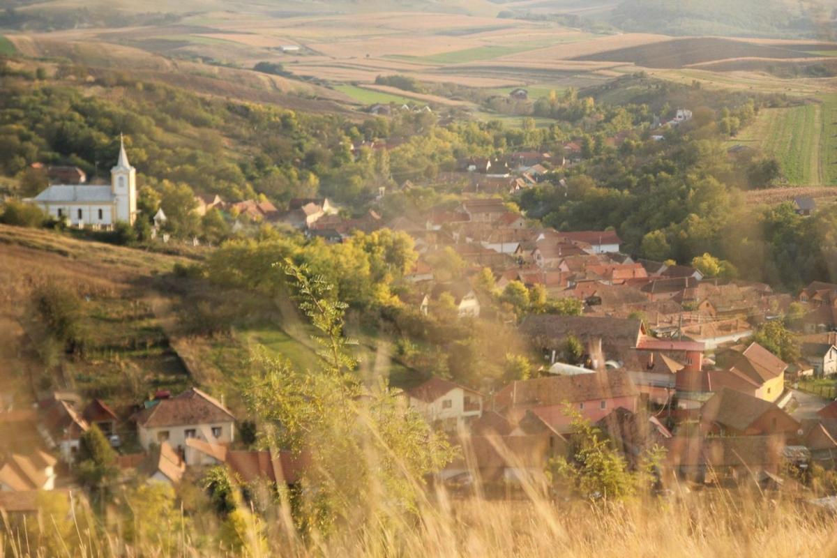 Pensiunea Casa Din VII Seusa エクステリア 写真