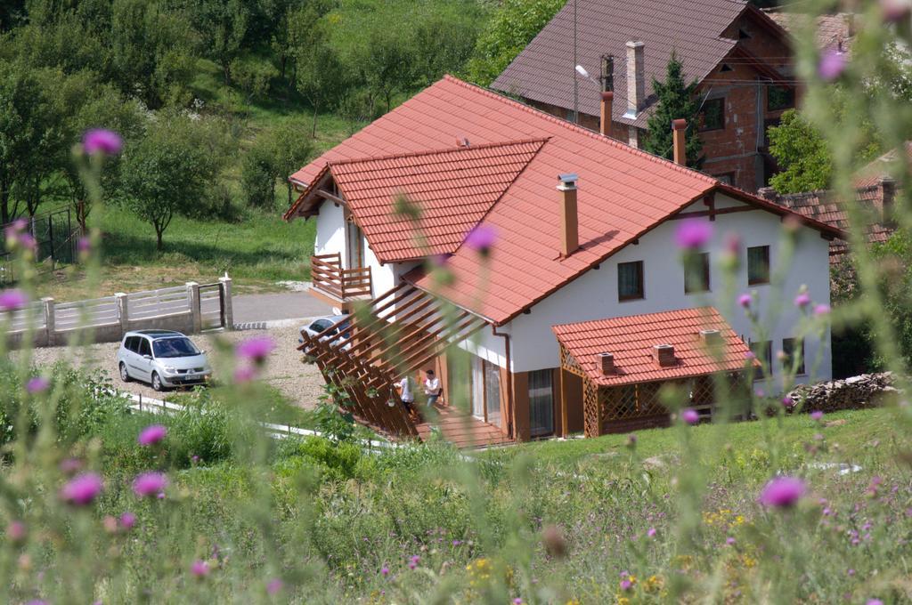 Pensiunea Casa Din VII Seusa エクステリア 写真